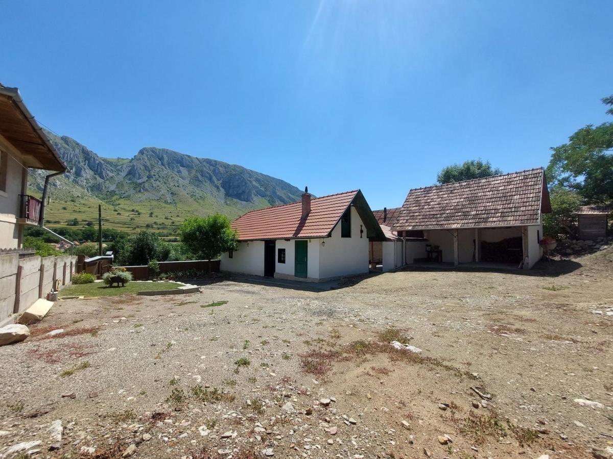 Villa Felix Haz Rimetea Exterior foto